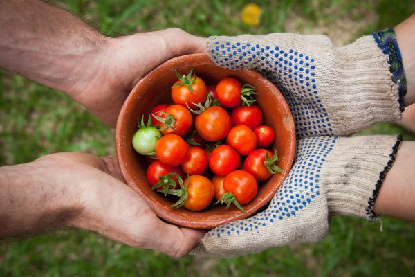 About the Farmers | Mighty Oaks Farm Maine