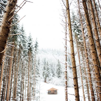 Snow Day on the Farm