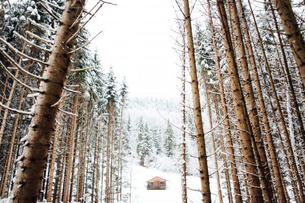 2018 Snow Day on the Farm | Mighty Oaks Farm