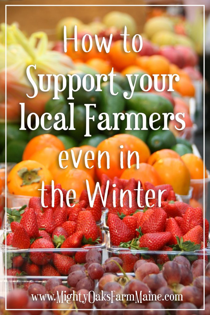 Fruits | Veggies | Support Local Farmers | Shopping at Farmers Markets