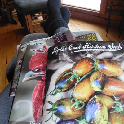 Best Seed Catalogs – No such thing!