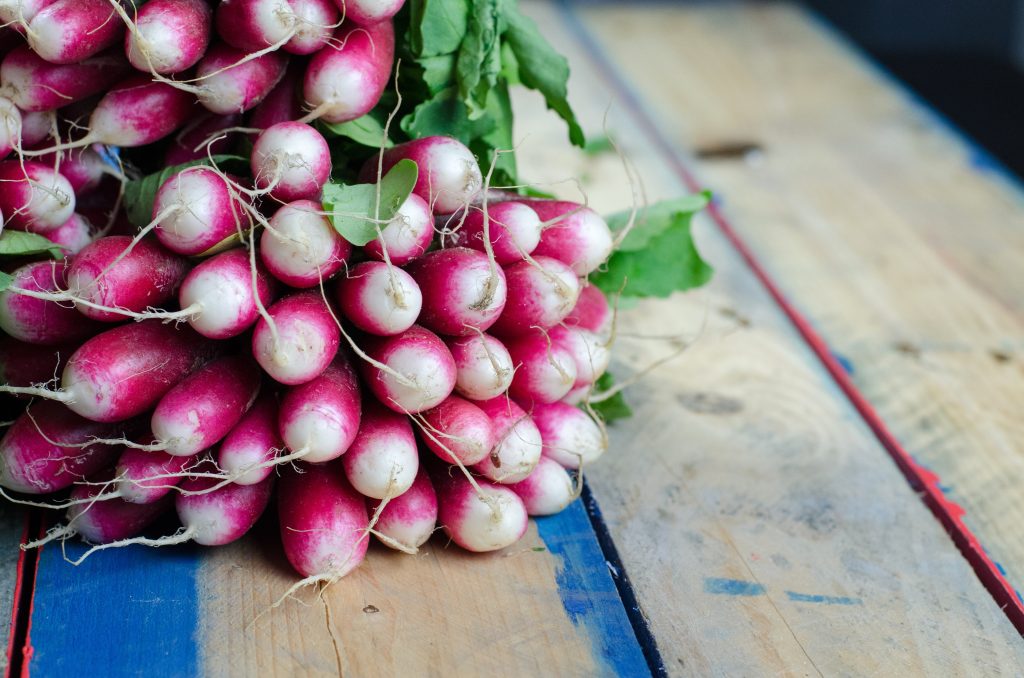 Radishes - Edibles Anyone Can Grow