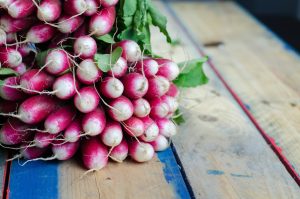 Bunch of English Radishes