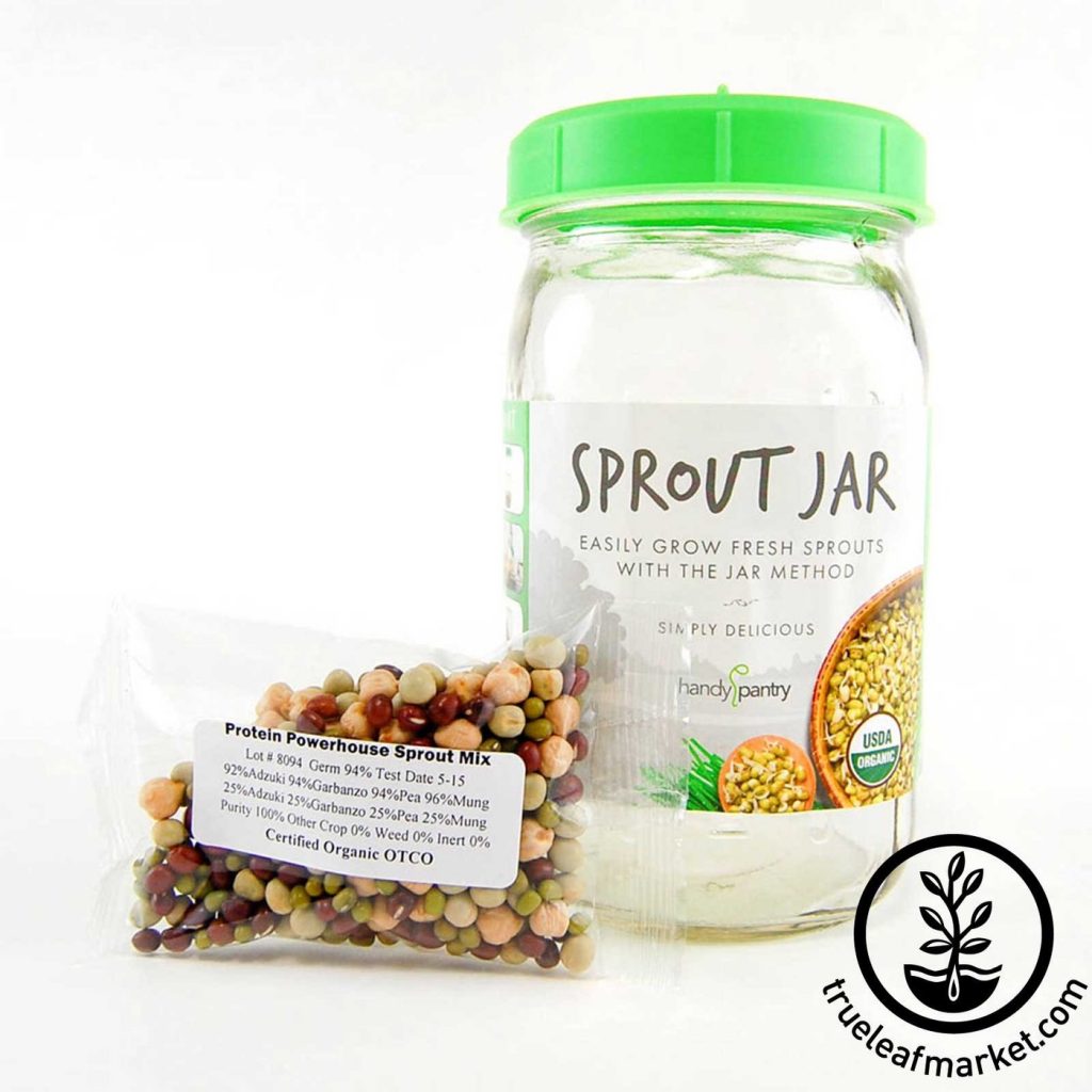 sprout jar - One of the Good Things You Can Do For Your Health For Under $5.00